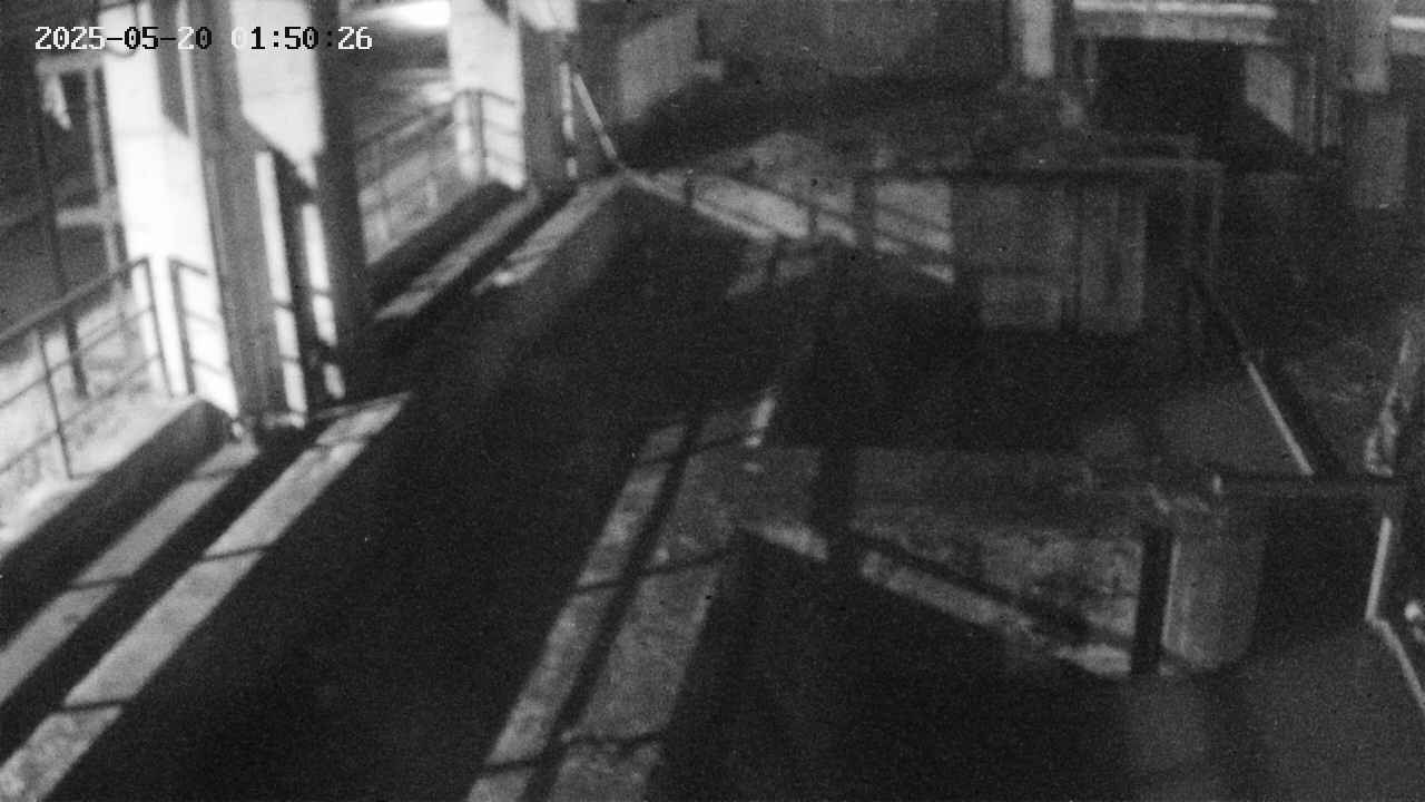 area2-20250520015027.jpg