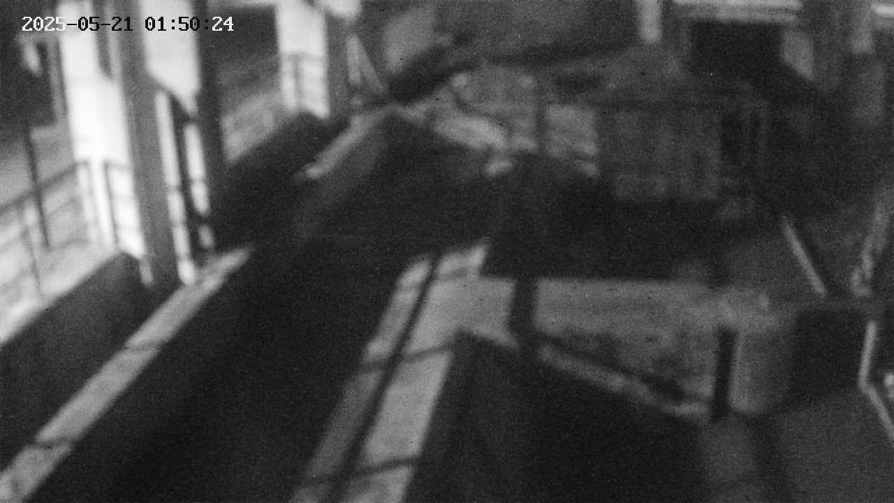 area2-20250521015025.jpg