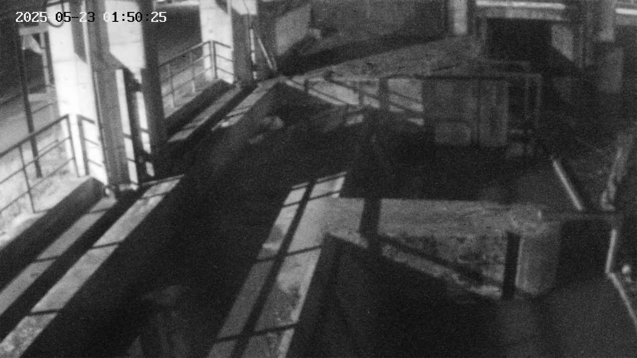 area2-20250523015026.jpg