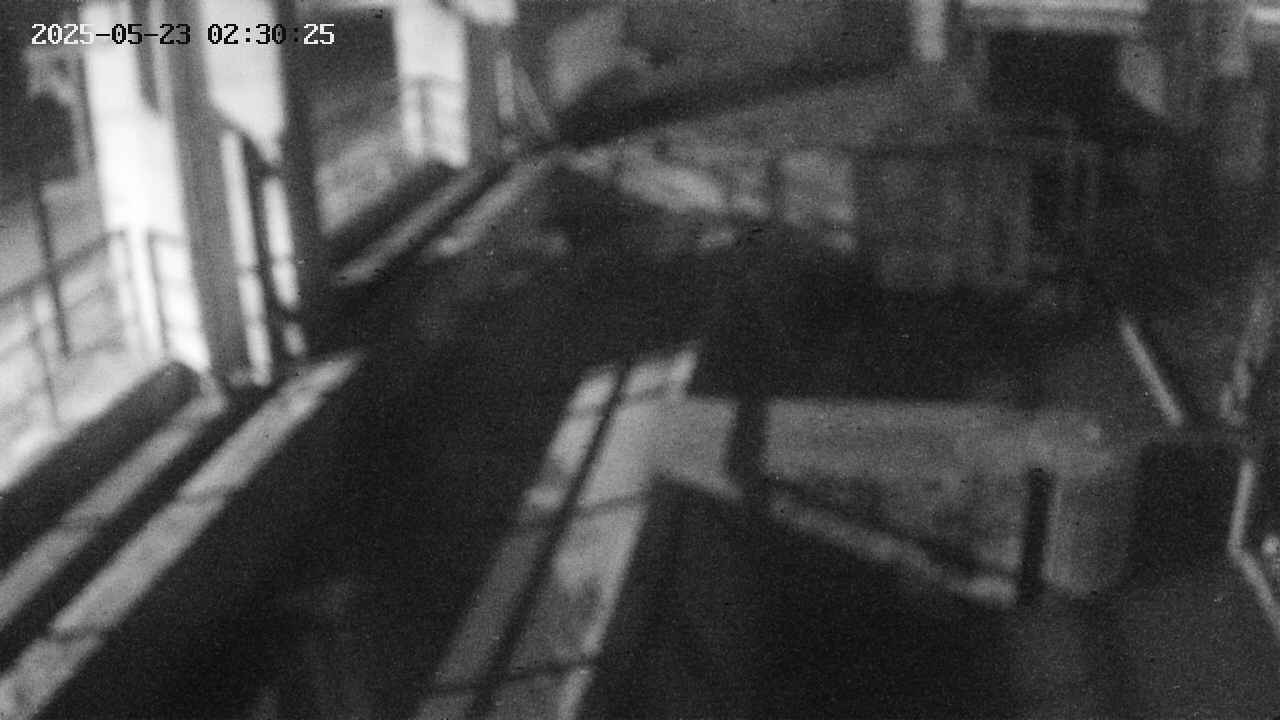 area2-20250523023026.jpg