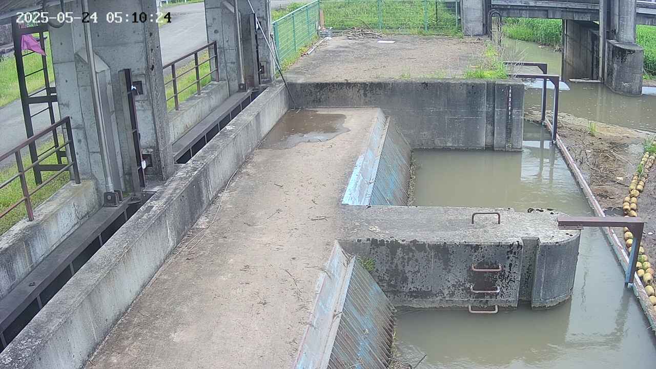area2-20250524051026.jpg