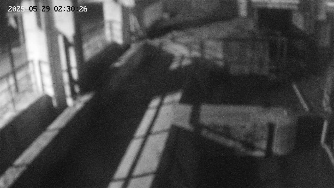 area2-20250529023027.jpg