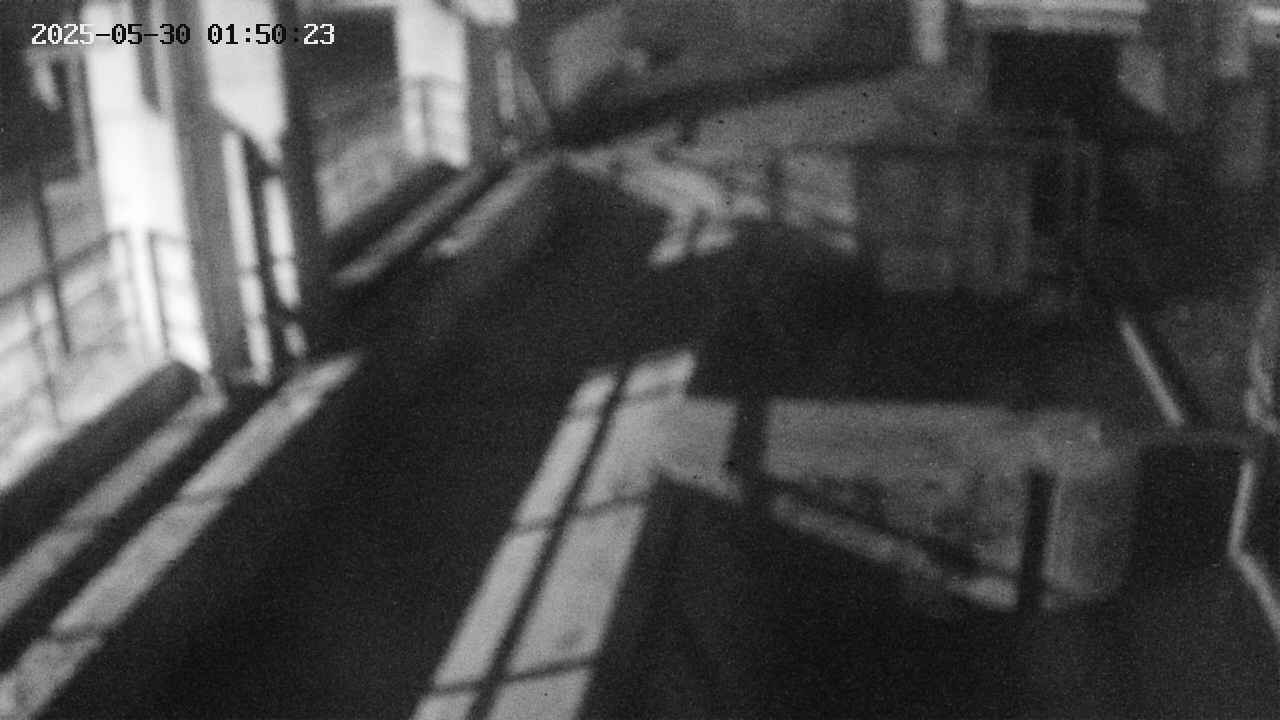 area2-20250530015023.jpg