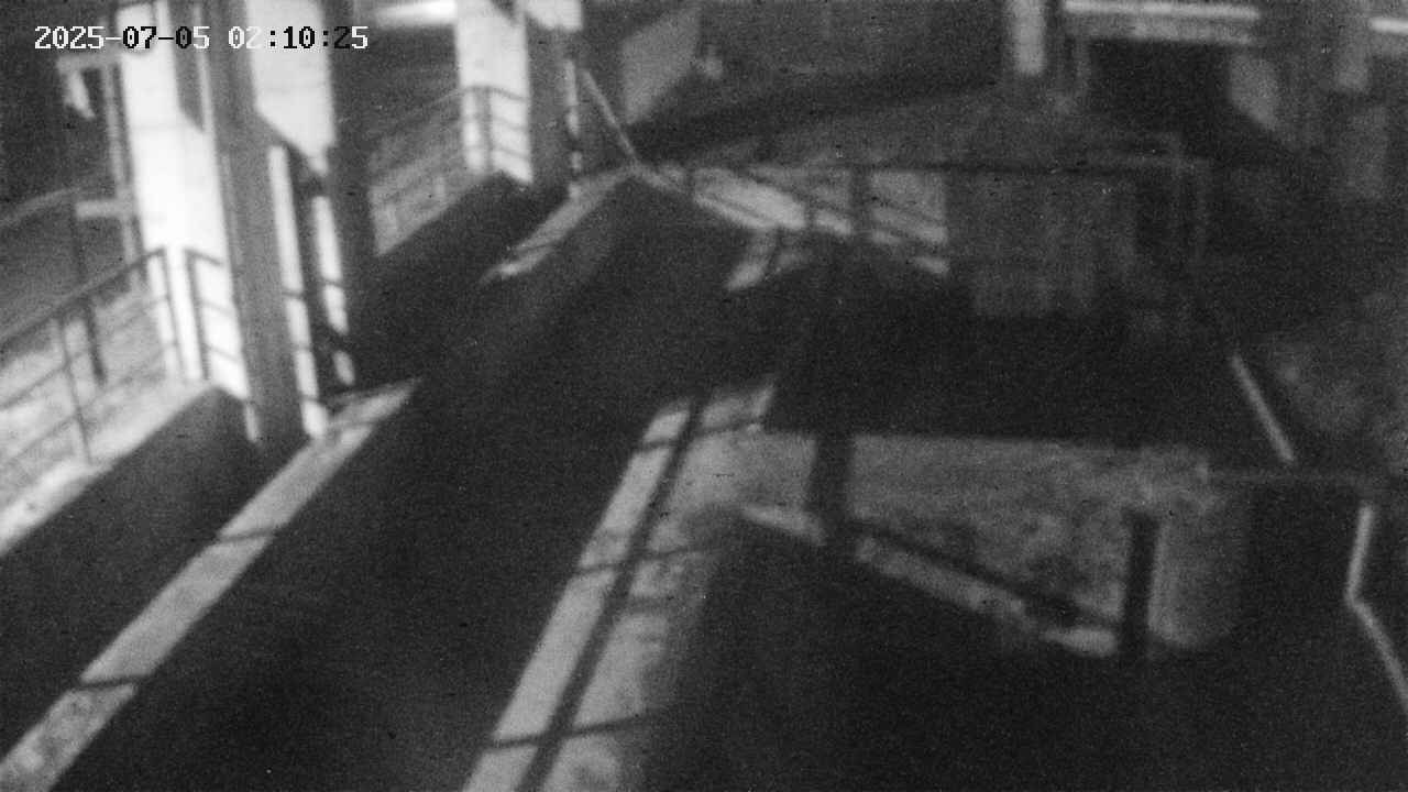area2-20250705021026.jpg