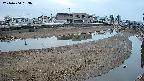 area3-20240404053036.jpg