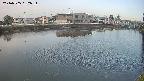 area3-20240505052035.jpg