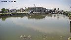 area3-20240505120036.jpg