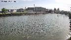 area3-20240505155036.jpg
