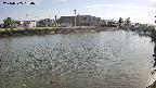 area3-20240505160036.jpg