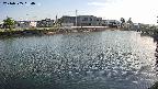 area3-20240505164036.jpg