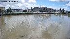 area3-20240808124037.jpg