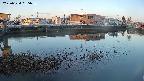 area3-20250324055037.jpg