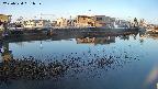 area3-20250324061038.jpg