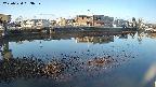 area3-20250324063038.jpg