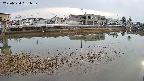 area3-20250324161038.jpg