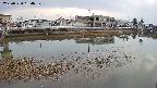 area3-20250324164038.jpg