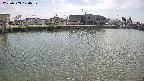 area3-20250503124038.jpg