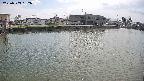 area3-20250503132037.jpg