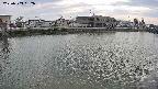 area3-20250503152036.jpg