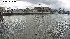 area3-20250504120037.jpg