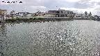 area3-20250504150034.jpg