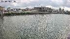 area3-20250504152038.jpg