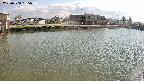 area3-20250504155038.jpg