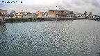 area3-20250505051035.jpg