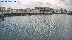 area3-20250505052035.jpg