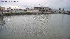 area3-20250505055036.jpg