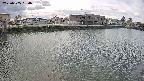 area3-20250505094037.jpg