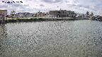 area3-20250505112037.jpg