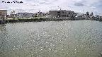 area3-20250505120036.jpg
