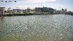 area3-20250505132037.jpg