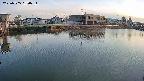 area3-20250505180035.jpg