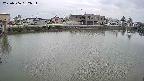 area3-20250506132036.jpg