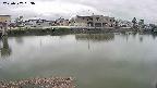 area3-20250507093038.jpg