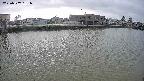 area3-20250507161038.jpg