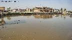 area3-20250515064038.jpg
