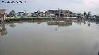 area3-20250515172036.jpg