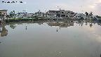 area3-20250515185035.jpg