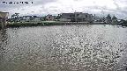 area3-20250526145036.jpg