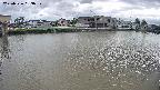 area3-20250526153039.jpg