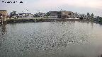area3-20250620180036.jpg
