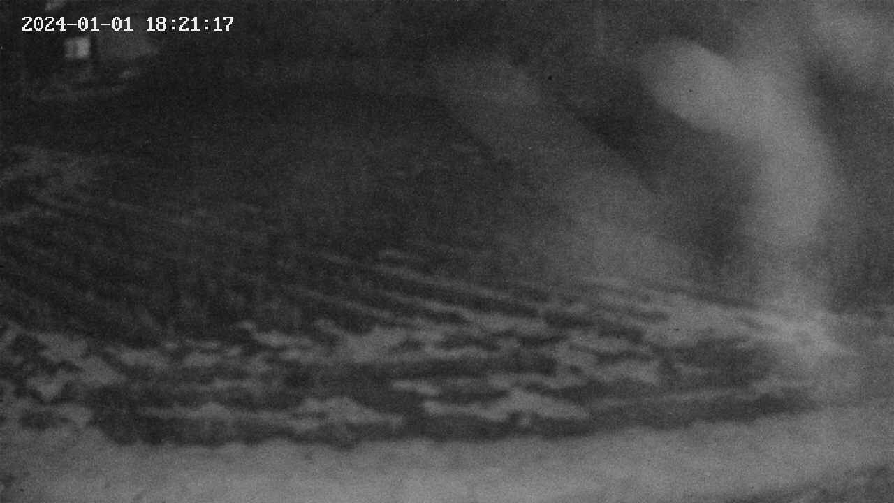 area9-20240101182118.jpg
