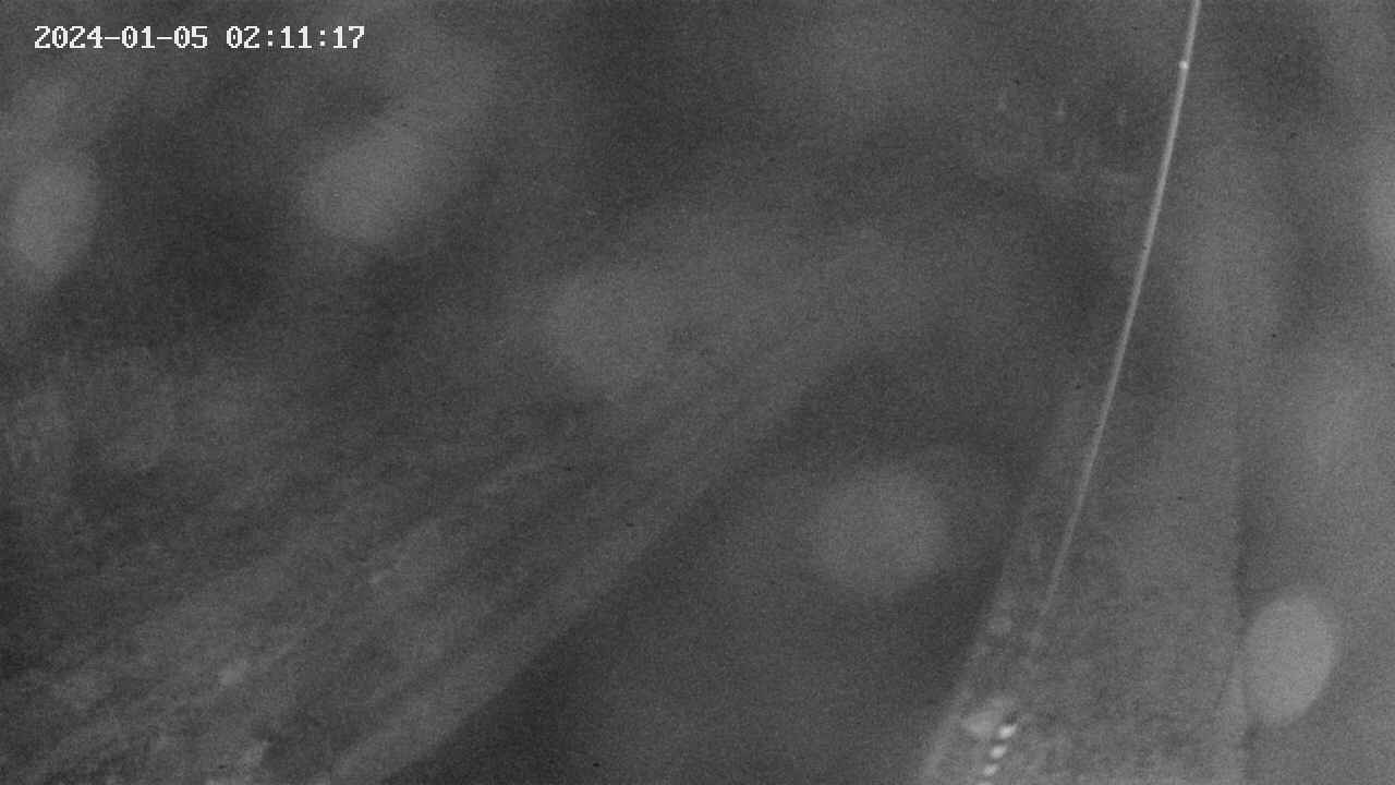 area9-20240105021118.jpg