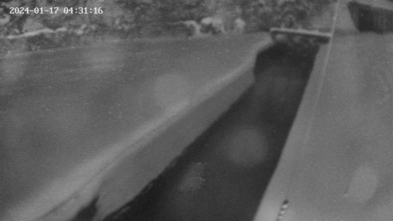 area9-20240117043117.jpg