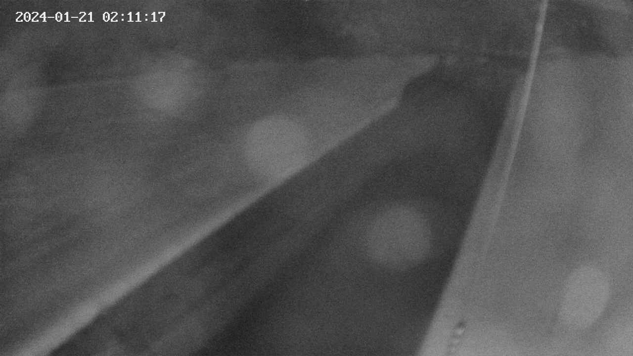 area9-20240121021118.jpg