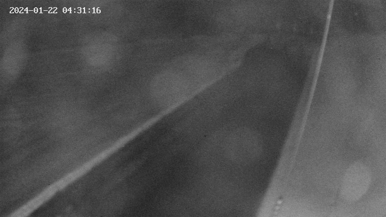 area9-20240122043117.jpg
