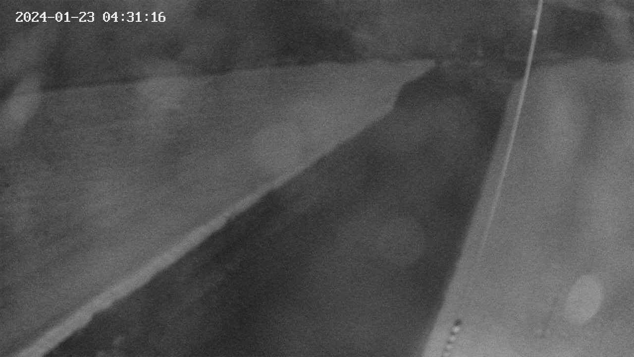 area9-20240123043117.jpg